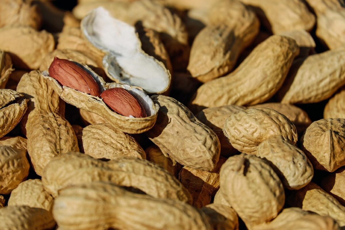 Aliments pour la récupération musculaire après le sport