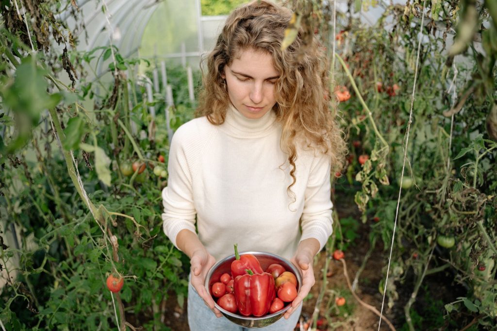Les légumes incontournables de septembre pour une alimentation équilibrée