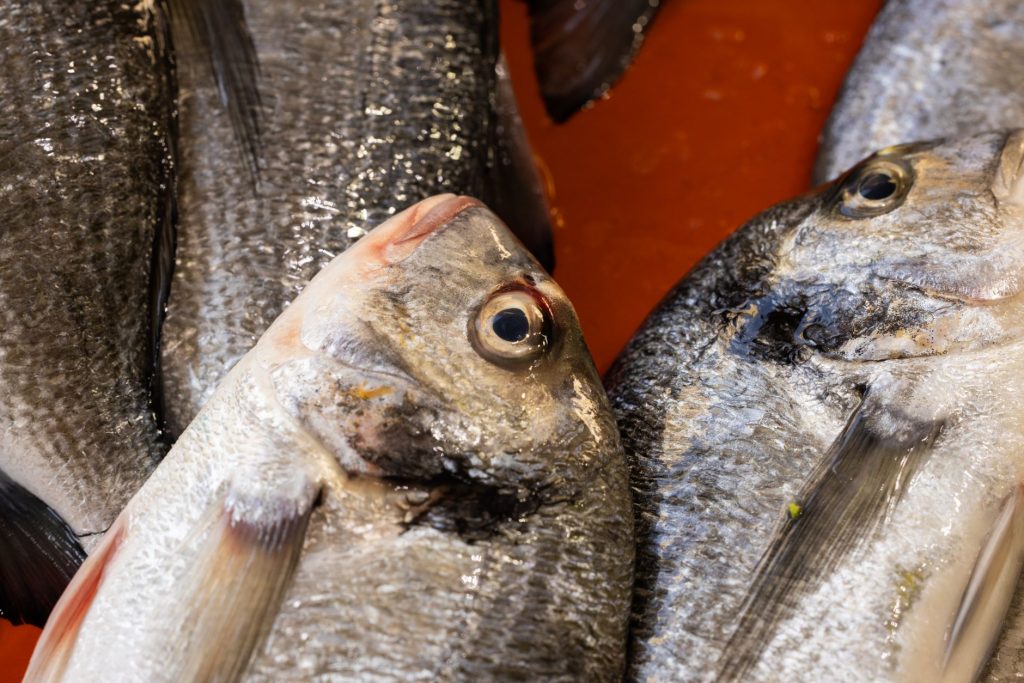 Les Poissons à Éviter pour Maintenir Votre Ligne
