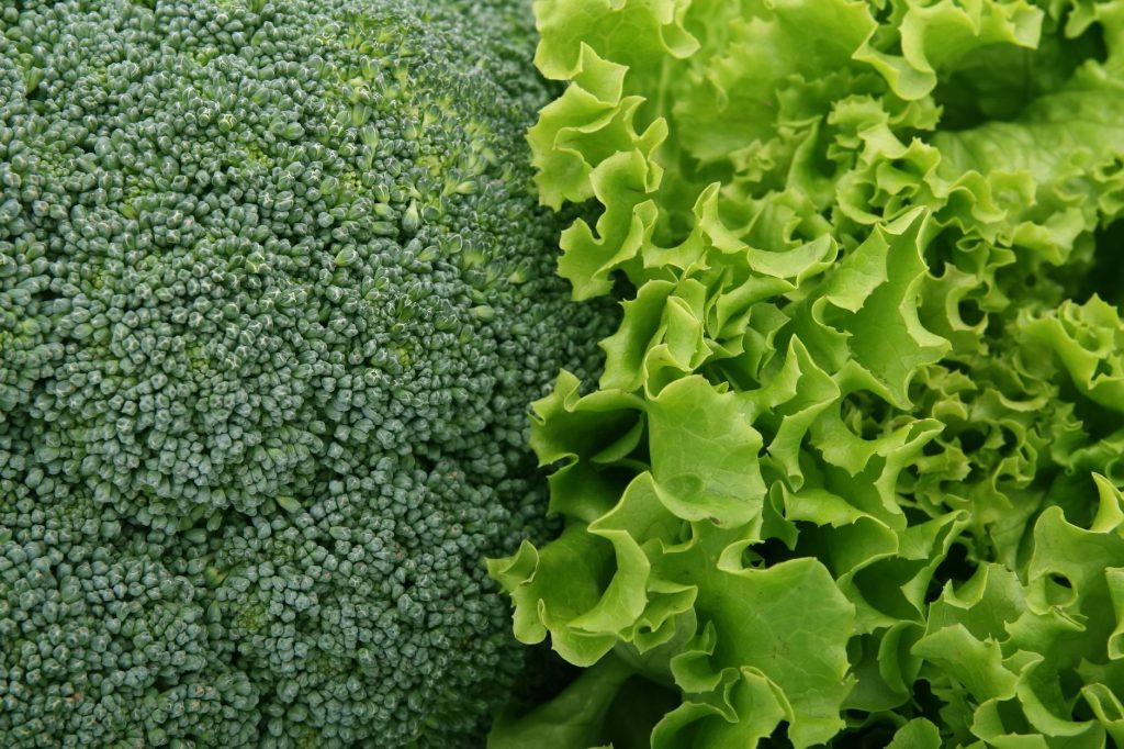 Quels légumes verts consommer en septembre pour une meilleure santé ?