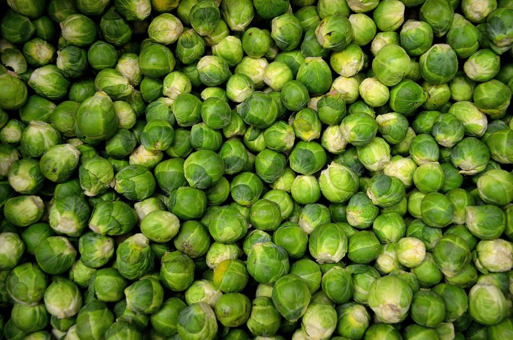 Les légumes de saison à consommer en septembre pour une alimentation saine