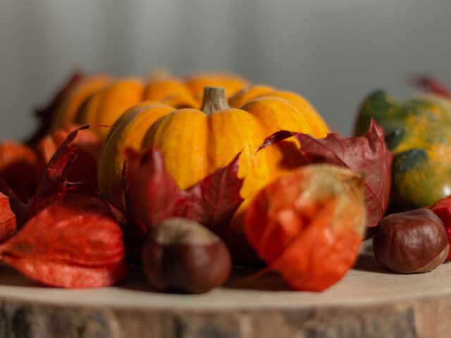 Les légumes de septembre pour une meilleure santé